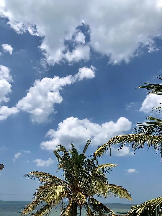 旅馆 Blue Bird Apartment 尼甘布 斯里兰卡