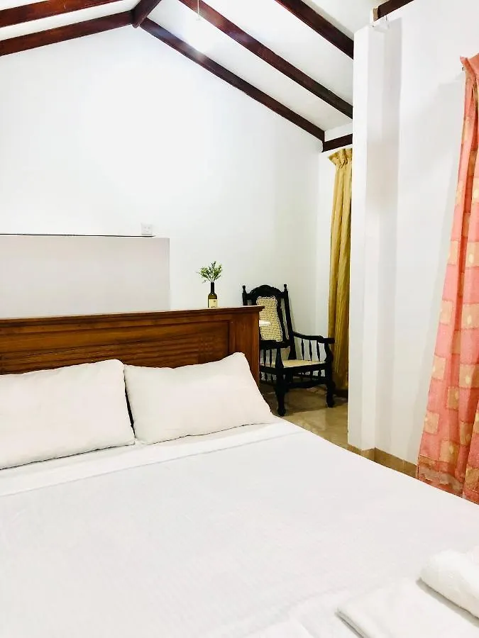 Blue Bird Apartment 尼甘布 旅馆